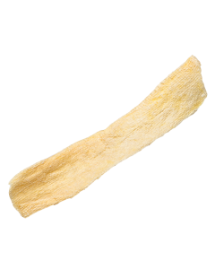 OraGraft ® Perio Fascia Lata Regular